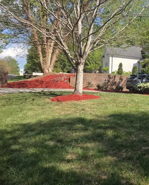Mulch job photo posted by TaKisha Lewis in her Google review
